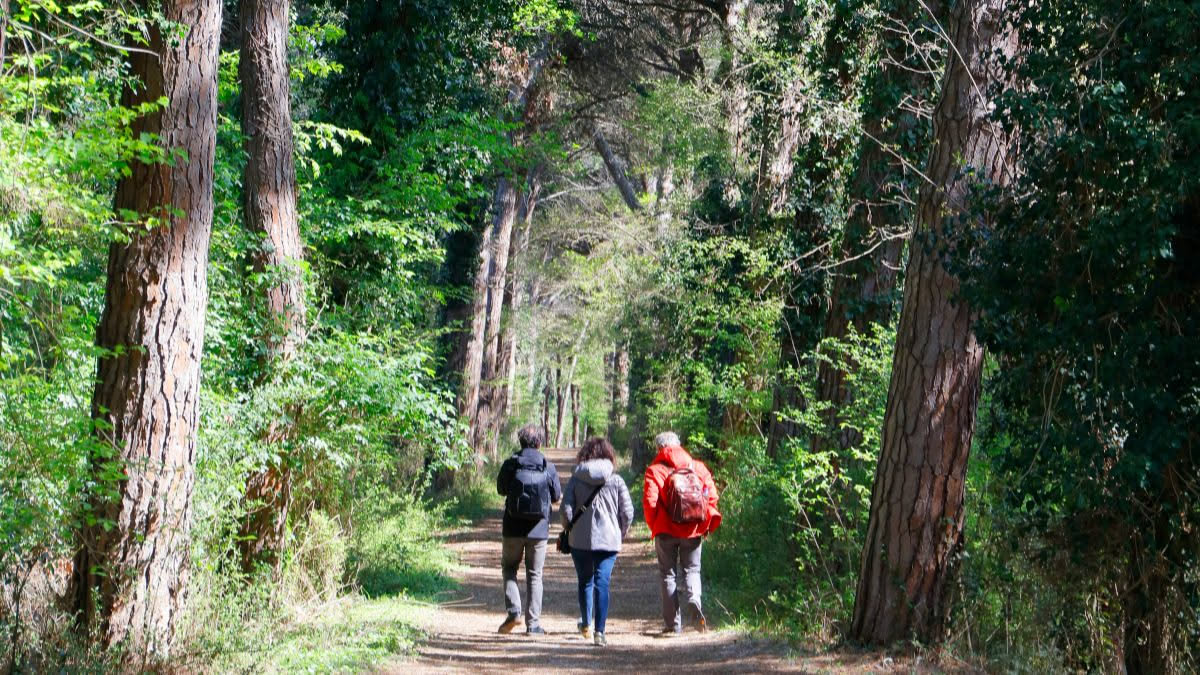 Perché camminare nella natura nutre quanto un buon pasto
