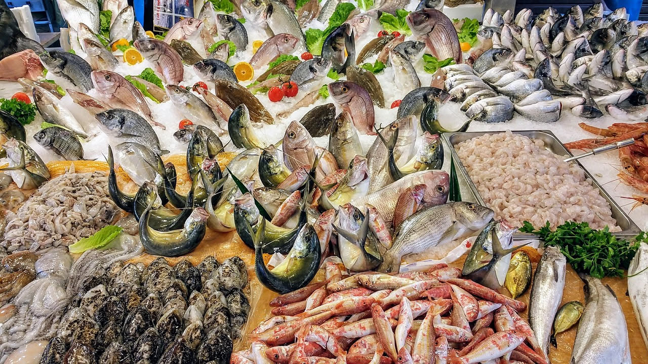 Omega 3 nei pesci italiani: quali specie ne contengono di più