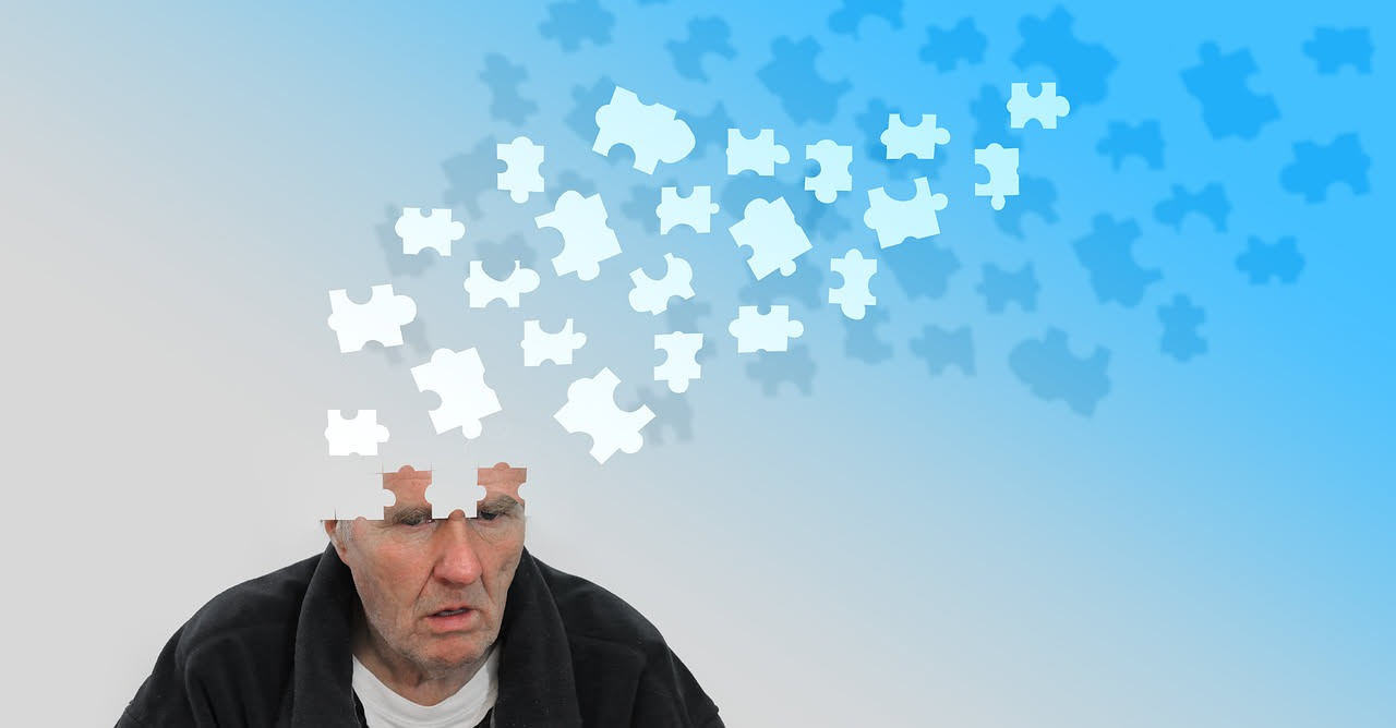 Gli studi su memoria e prestazioni cognitive