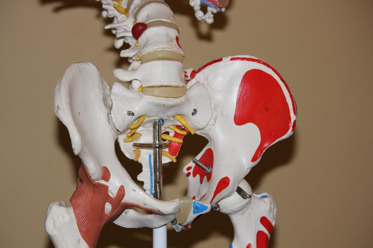 Ernia del disco e Pilates clinico: quando iniziare e come progredire