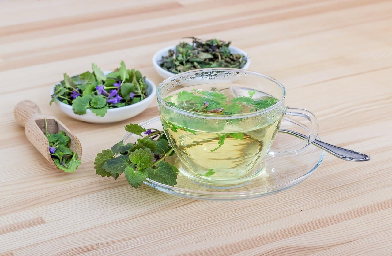 Tisana d'ortica in primavera: benefici reali e quando evitarla