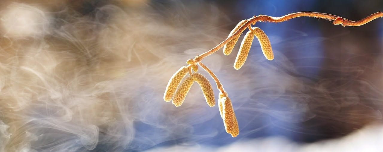 Allergie primaverili e occhi: cosa cambia nella stagione dei pollini