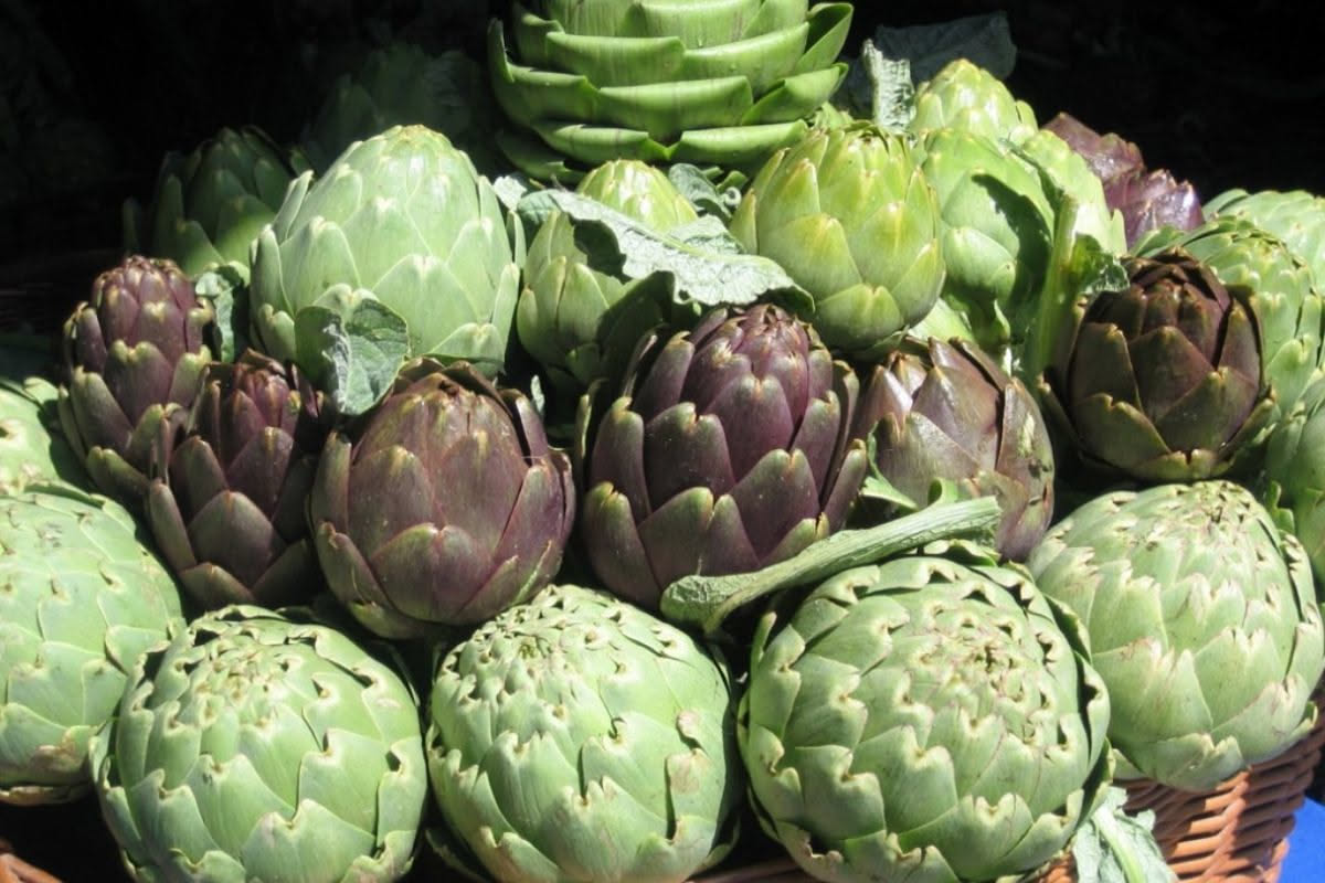 Carciofi: proprietà, benefici e come consumarli al meglio