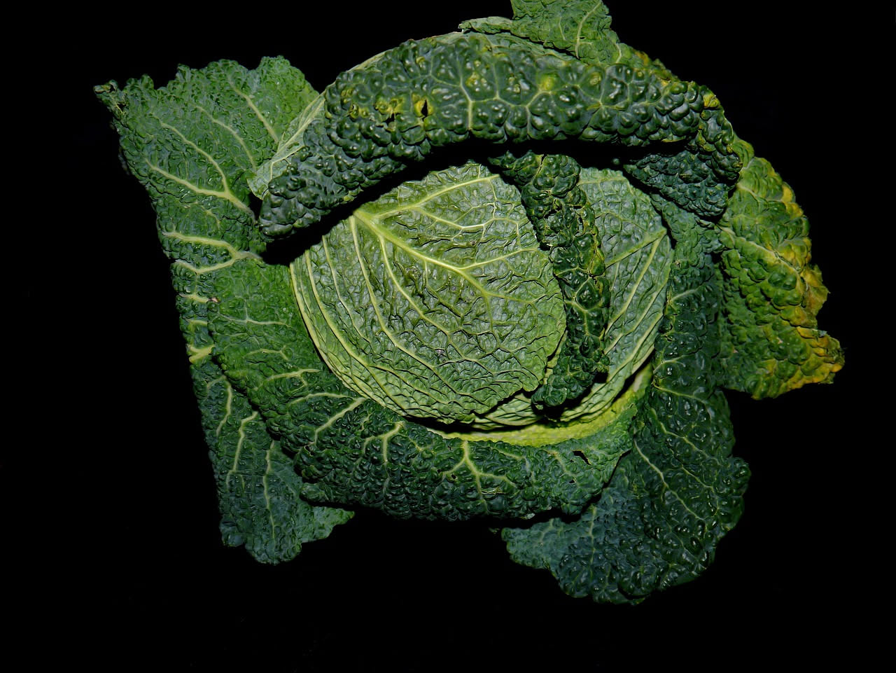 Cavolo nero: proprietà, benefici e come consumarlo
