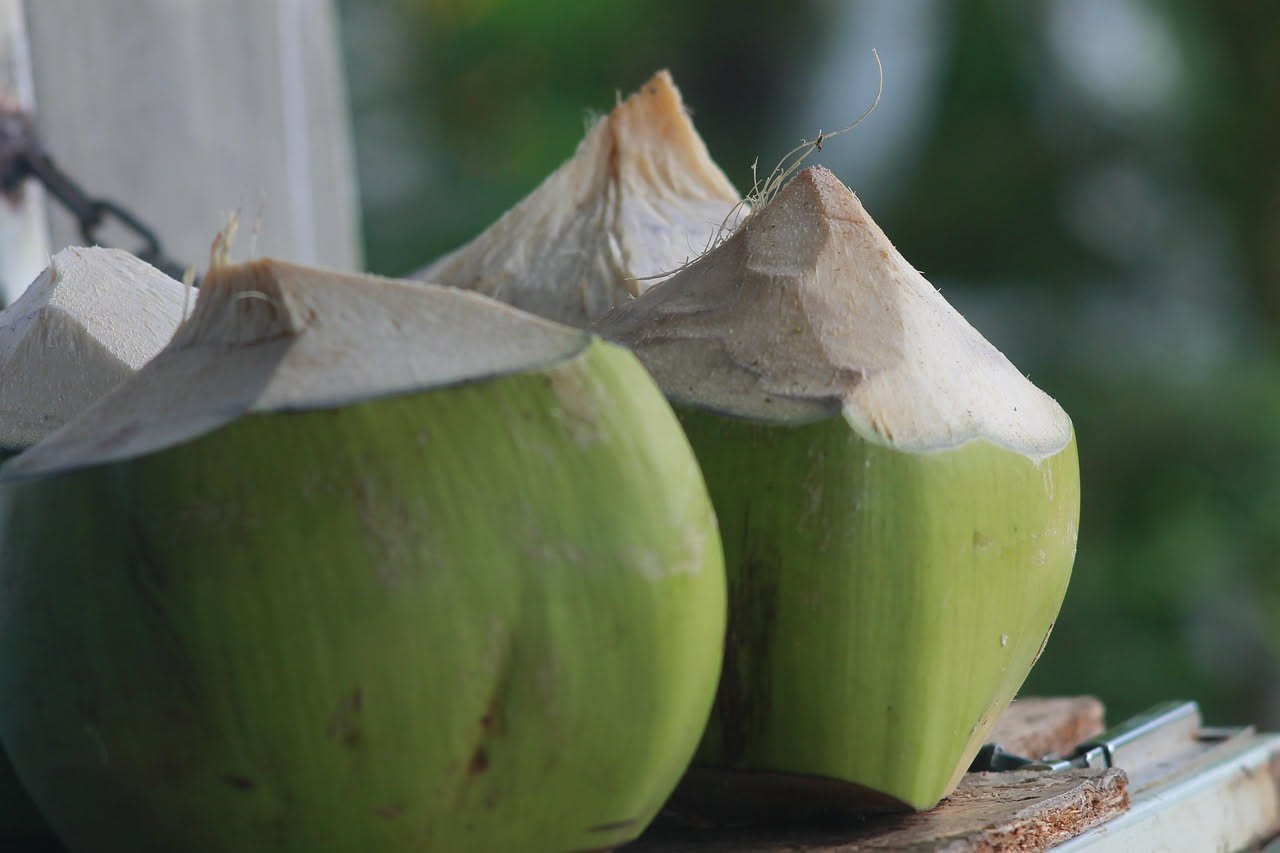 Cocco: proprietà nutrizionali, benefici e come consumarlo