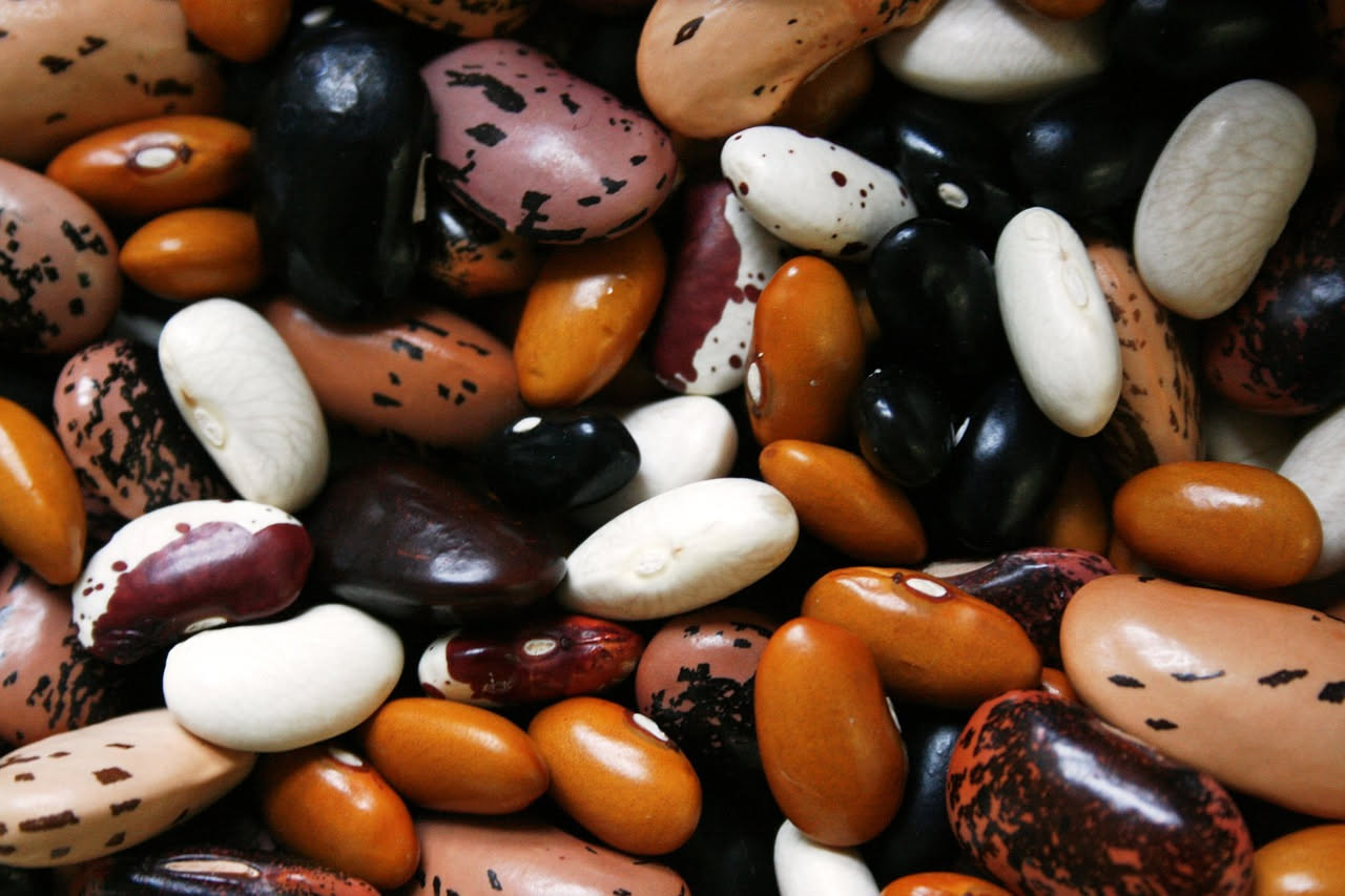 Fagioli: proprietà nutrizionali e benefici per la salute