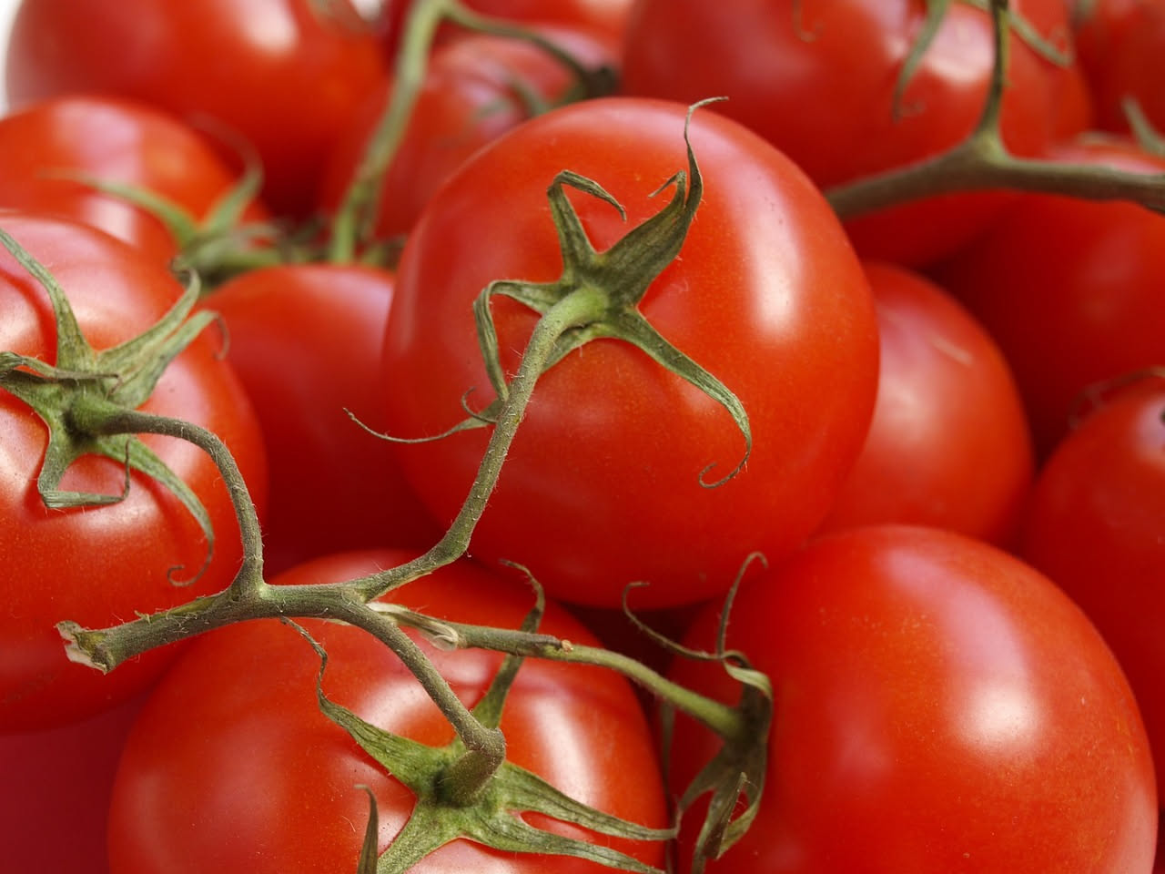 Pomodori: proprietà nutrizionali e benefici per la salute