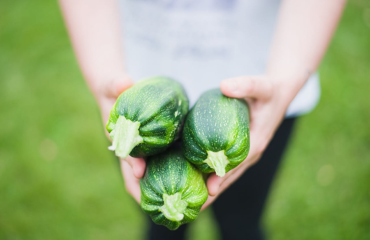 Zucchine: proprietà, benefici nutrizionali e come cucinarle